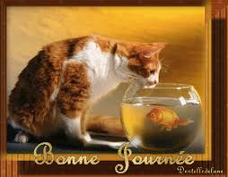 Gif anim� bonne journ�e avec chat et poisson rouge - les gifs anim�s de  dentelledelune