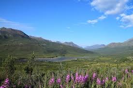 Check spelling or type a new query. The Best Campground In The World Indescribable View Review Of Tombstone Territorial Park Dawson City Yukon Tripadvisor