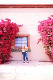 Expired breville bes870 barista express manual coffee machine charcoal $579 @ harvey norman. Breville Home Facebook