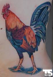 These birds look so attractive, they have red crest on head and beautiful plumage on all the body. 45 Cool Rooster Tattoos