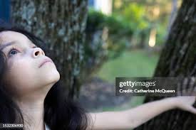 205 Under The Black Arch Stock Photos, High-Res Pictures, and Images