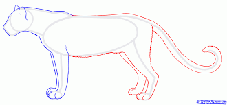 How To Draw Panthers Black Panthers Step 5 Black Panther Drawing Easy Animal Drawings Drawings