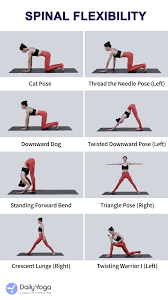 Spinal Flexibility Video In 2020 Easy Yoga Workouts Flexibility Workout Workout Plan