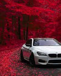 Autumn Offers So Many Opportunities To Amaze The Bmw M6 Coupe Bmw M6 Bmwm Bmwmrepost Philsags Bmw M6 Bmw M6 Coupe Bmw Cars