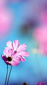 Now lets me show you up to 600+ 4k ultra hd wallpaper just download what evers you like and put it your mobile home screen and lock. 4k Wallpaper 1080p Mobile Full Screen 1080p Mobile Full Hd Wallpaper