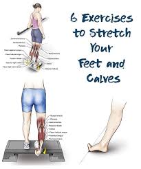 In Normal Everyday Activities The Muscles Of The Foot And Lower Leg Are Used More Extensively Than An Stretch Calf Muscles Calf Exercises Gastrocnemius Muscle