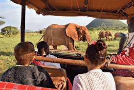 We found all the words for this level. Safaris And Cruises Are The Most Sociable Vacations Tully Luxury Travel