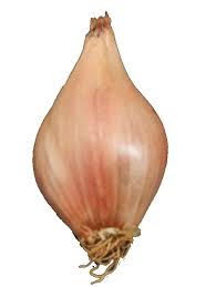 (noun) from american heritage dictionary of the english language, 5th edition Eschallots Wiffens