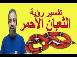 تفسير رؤية حلم الثعبان الأحمر في المنام اسماعيل الجعبيري Youtube