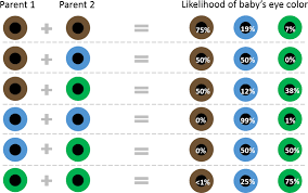 Download Hd Free Png Download Colored Eyes Chart Png Images