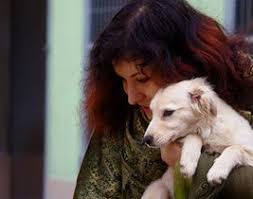 Where is the humane society of yuma located? Lost Our Home Helping People Saving Pets