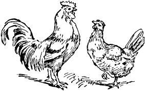 Feel free to print and color from the best 39+ rooster coloring page at getcolorings.com. Black And White Rooster Coloring Pages Rooster And Hen Etc Printable Coloring4free Coloring4free Com