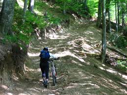 Cumpara bere ciucas si cauta sub cheita sau capac codul castigator sau berea cadou. Asa Ieftin Sua Vanzare IeftinÄ Multe La ModÄ Bicicleta Ciucas Mediereaturistica Ro