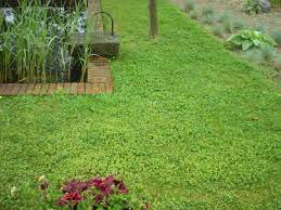 Pin On Landscape