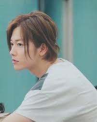 satoh takeru 佐藤健 おしゃれまとめの人気アイデア pinterest honey bunny メンズ ヘアスタイル 佐藤 たける 佐藤健