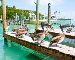 Image of Key Largo, Florida