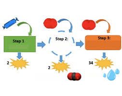 Maybe you would like to learn more about one of these? Steps In Cellular Respiration Quiz
