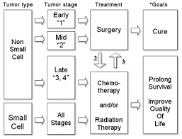 tnm and staging of lung cancer simplified epomedicine