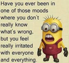 Me Its Like One Day I M All Happy And Then The Next Crying For No Reason And Mad At Everyone Minions Funny Minions Humor Funny Quotes