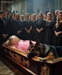 A GERMAN SHEPHERD WOULDN'T LEAVE A GIRL'S COFFIN - WHAT PEOPLE SAW  UNDERNEATH LEFT THEM FROZEN IN SH0CK The late March sky above Green Meadows  Cemetery... | By American's who stand for