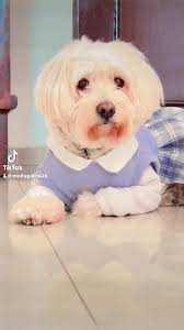 Molly Garza Ramírez (@mollygarza04)