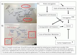 This will then open a new page. Gmc Genes Mutations And Cancer Group Concept Map Development Coursesource