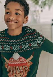 Next MATCHING FAMILY CHRISTMAS HAMISH THE HIGHLAND COW