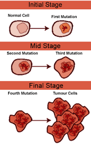 This means your blood has lower than normal hemoglobin (hgb) levels. Leukemia