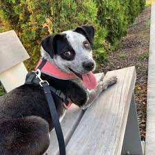Maybe you would like to learn more about one of these? Pixie S Web Page