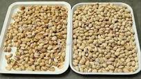 Pistachio Nuts Color Sorter Sorting Machine