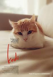 Romero Is On The Movie Poster Of Kedi Cats In Istanbul A Magical And Remarkable Documentary You Can Make A Movie Coolcattreehouse