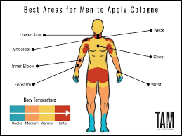 See our fragrance specialists now. Wear Cologne Off 72