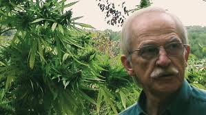 Escohotado and Cannabis