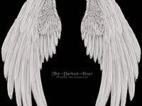 We did not find results for: 20 Ideas De Alas Realista Alas Alas De Angel Tatuajes De Alas