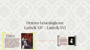 Czytanie królewskie drzewo genealogiczne jest ciekawym zajęciem dla każdego genealoga. Drzewo Genealogiczne By Jakub Siwka