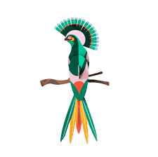 Weitere ideen zu paradiesvogel, hübsche vögel, exotische vögel. Prachtvollen Paradiesvogel Als Wandschmuck Ambiarte