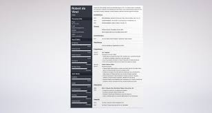 artist resume: 20+ templates & best