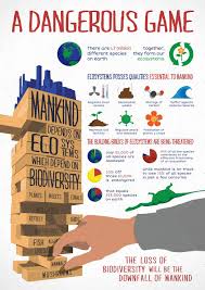 Pin By Nichole Eason On School Ideas Teaching Ecology Biodiversity Conservation Ecology Projects