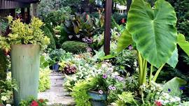 Grafton Hill Home, Garden & Historic Auto Show
