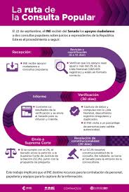 Lo primero que me preguntaría es si el país fue consultado el 16 de julio de 2017; Ciro Murayama On Twitter El Inemexico Esta Verificando Si La Iniciativa Ciudadana De Consulta Popular Presentada Al Senado Cuenta Con El Respaldo Minimo Exigido Por La Constitucion Deben Ser Al Menos 1 82