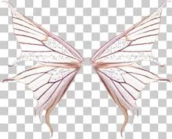 Download high quality butterfly clip art from our collection of 65,000,000 clip art graphics. Butterfly Wings Png Images Butterfly Wings Clipart Free Download
