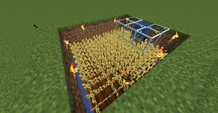 Cactus farm benchmark | minecraft farms: Tutorials Crop Farming Official Minecraft Wiki