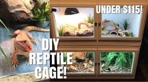 How To Build Your Own Reptile Enclosure Perfect For Bearded Dragons Bearded Dragon Terrarium Ideas Bearded Dragon Habitat Bearded Dragon Terrarium Diy