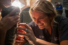 Cool cat 🐈 ❤️