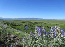 Arapaho national forest consists of 723,744 acres and is largely in grand and clear creek counties, but spills over into neighboring counties too. Arapaho National Wildlife Refuge Colorado Com