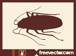 Cockroach Silhouette Vector Art Graphics Freevector Com Cockroaches cause many harmful diseases like typhoid. cockroach silhouette vector art