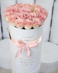 The Billion Roses Sydney Australia The Luxe Series Lasts Up To A Year Sooo Beautiful Billion Roses Pink Flower Arrangements Rose