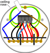 Inspect the wiring in the outlet. Looped In Lighting Wiring The Ceiling Rose