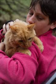 A day for animals in Mansfield