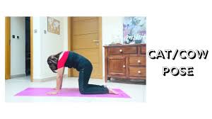 Cat pose and cow pose can be practiced separately or together, depending on your body's needs. Cat Cow Pose Bitilasana Marjaryasana Yoga With Vahida Youtube